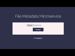 File Metadata Microservice